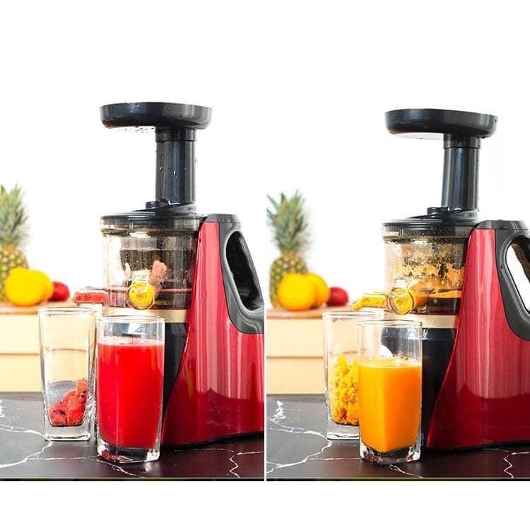 Máy ép trái cây tốc độ chậm SAVTM (Bảo hành 6 tháng động cơ)