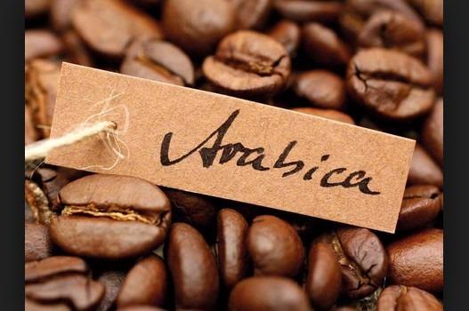 Cà Phê Arabica Cầu Đất Hạt Rang Nguyên Chất 100%.