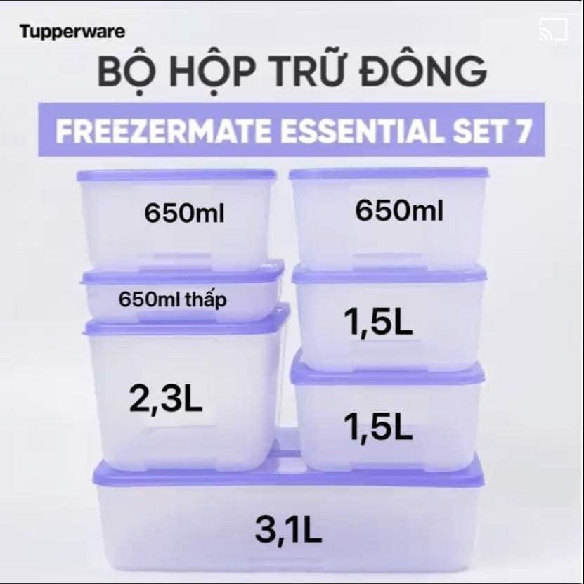 Bộ hộp trữ đông Freezermate Essential tím (Set 7) - Tupperware