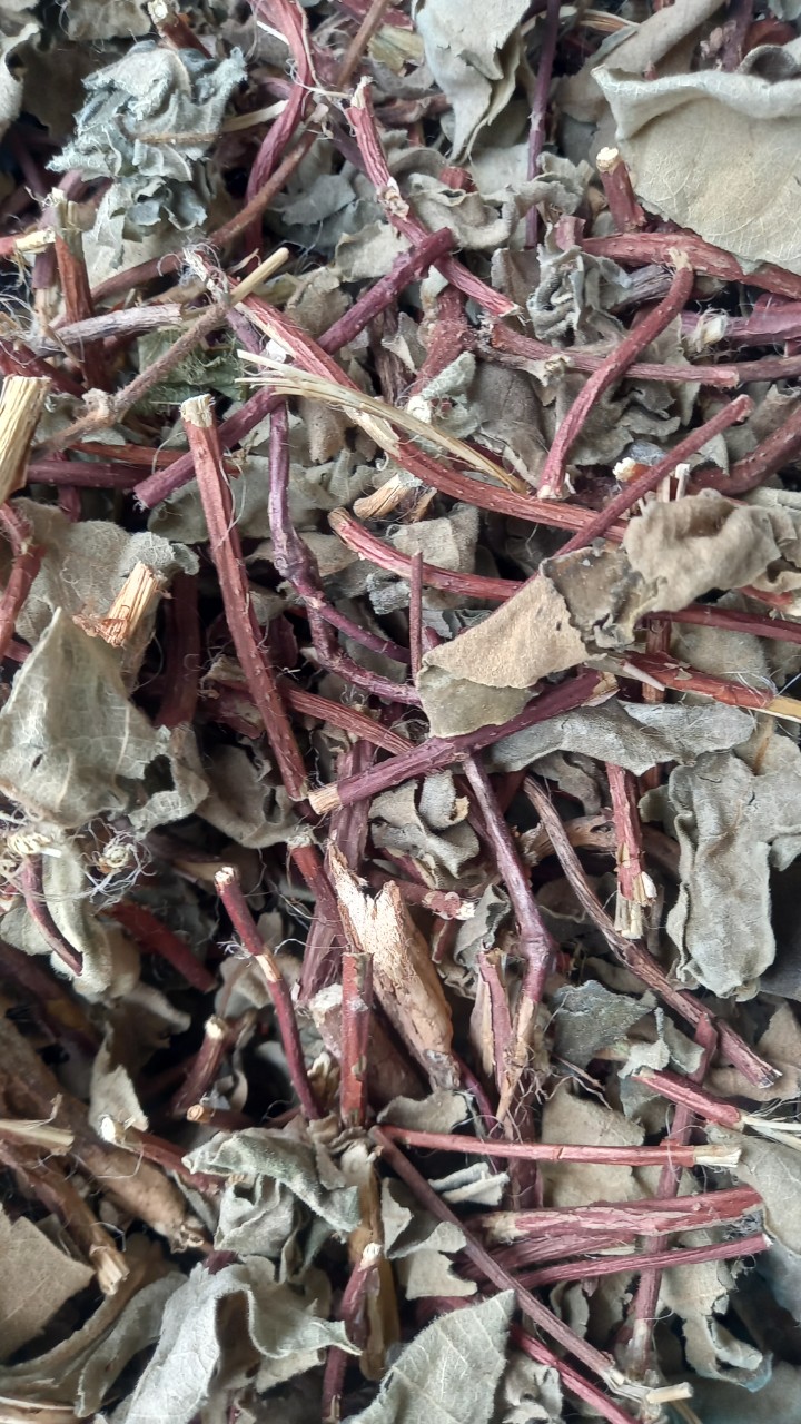 Cây Lá Hà Thủ Ô Khô / 1kg