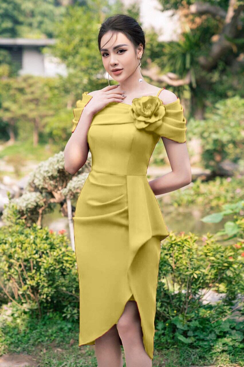 Đầm trễ vai bèo  sang trọng