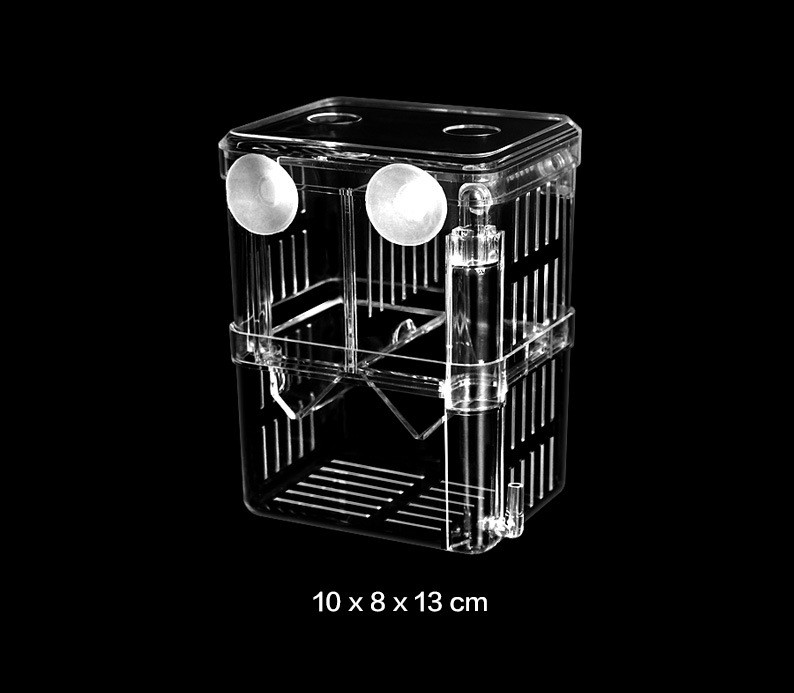 Bể cá mini, bể cho cá ấp trứng mini 2 ngăn