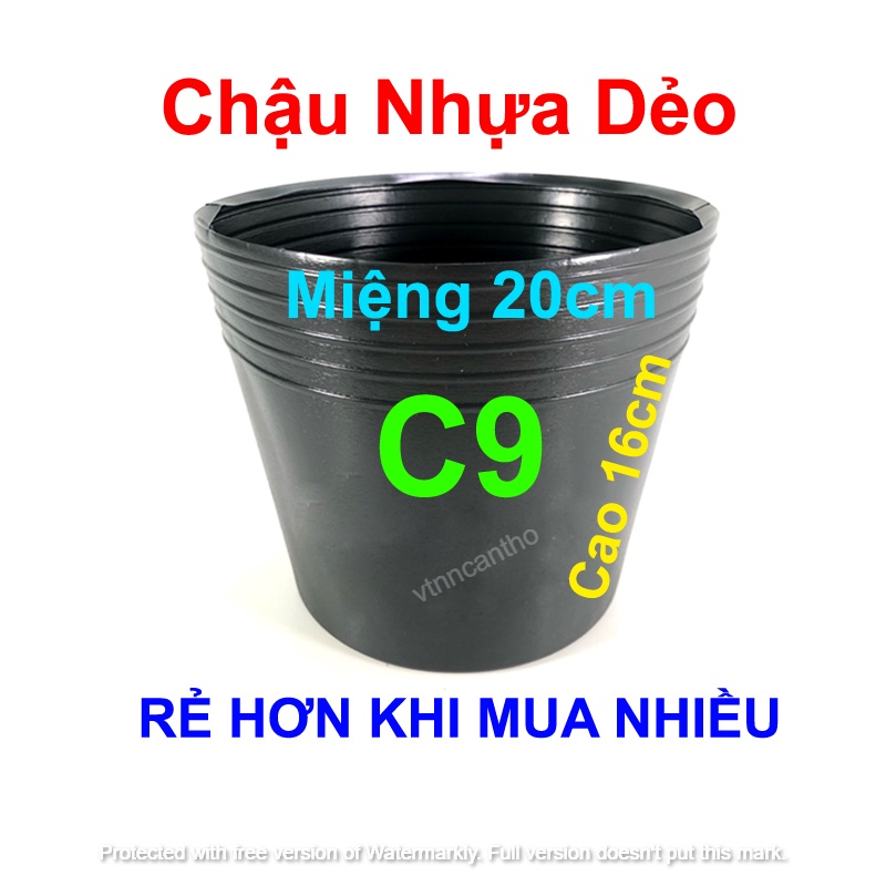 Chậu nhựa C9 đen trồng cây, trồng rau, chậu trồng hoa Vạn Thọ TẾT