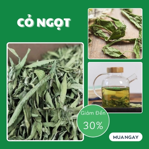 Lá cỏ ngọt sấy khô hàng sạch thơm cao cấp - Túi lớn loại 1kg giá rẻ - Thảo Dược Taphaco