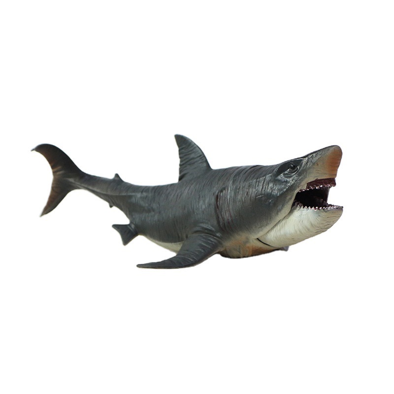 Sinh vật tận diệt cá mập khổng lồ Megalodon có thể vẫn lởn vởn quanh chúng  ta