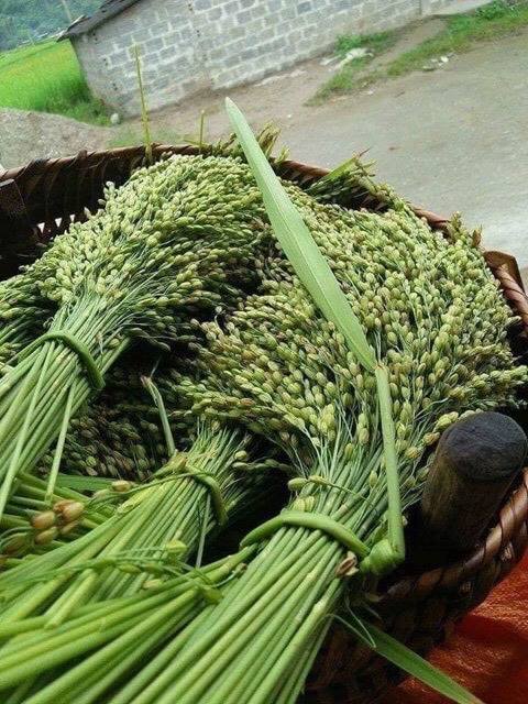 500G CỐM DẸP XANH ĐẶC SẢN LÀNG VÒNG