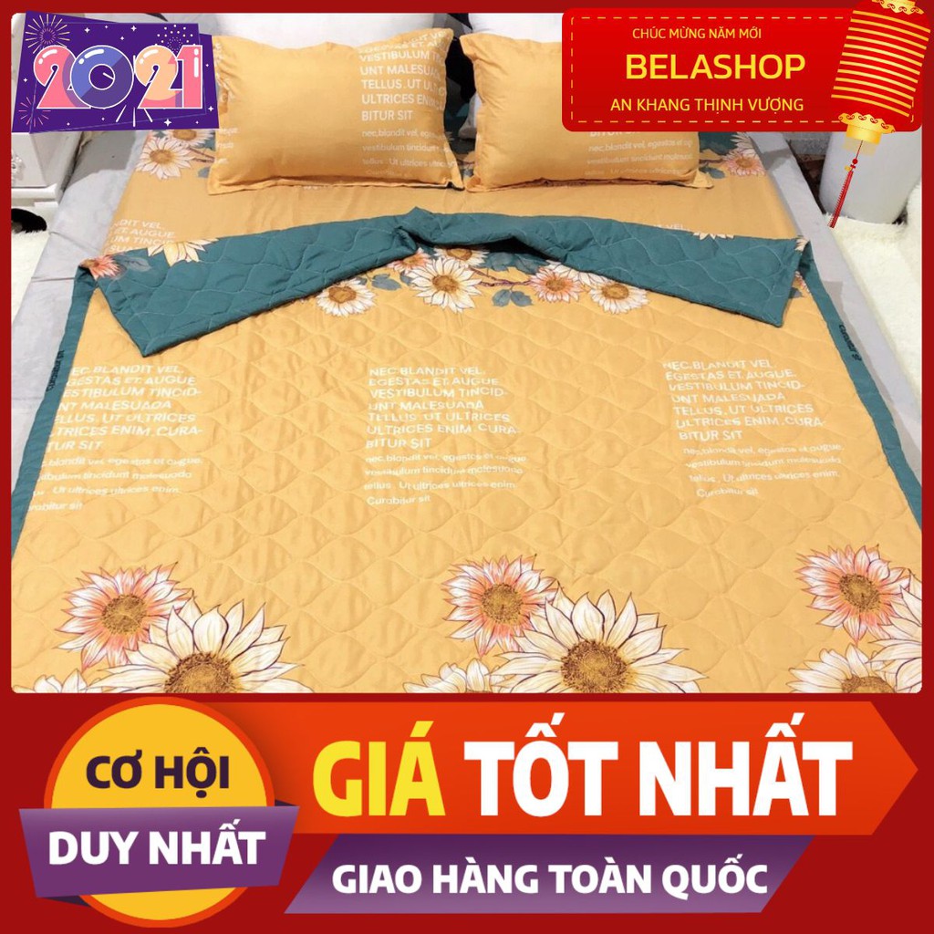 Chăn hè thu trần bông 3 lớp poly, mền trần bông, mẫu hướng dương vàng