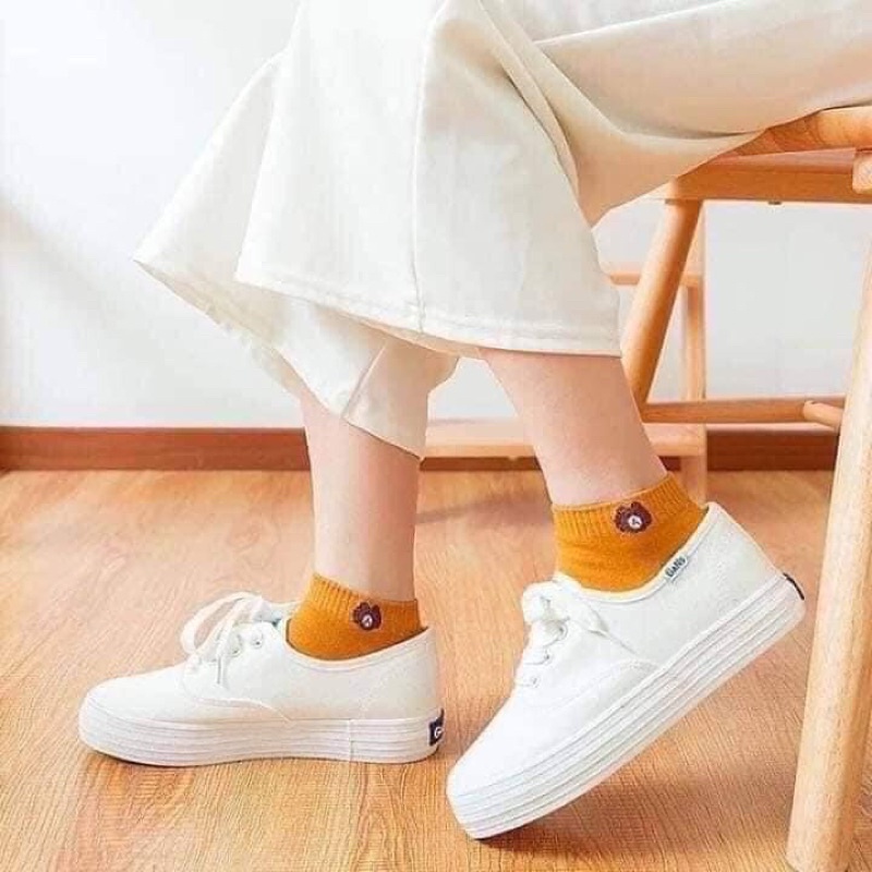 [Free Ship] - 30 đôi tất gấu đủ màu hàng đẹp
