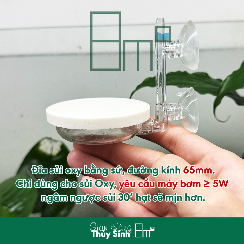 Cốc Sủi Oxy Acrylic Siêu Mịn Cho Hồ Cá, Tép 8m2