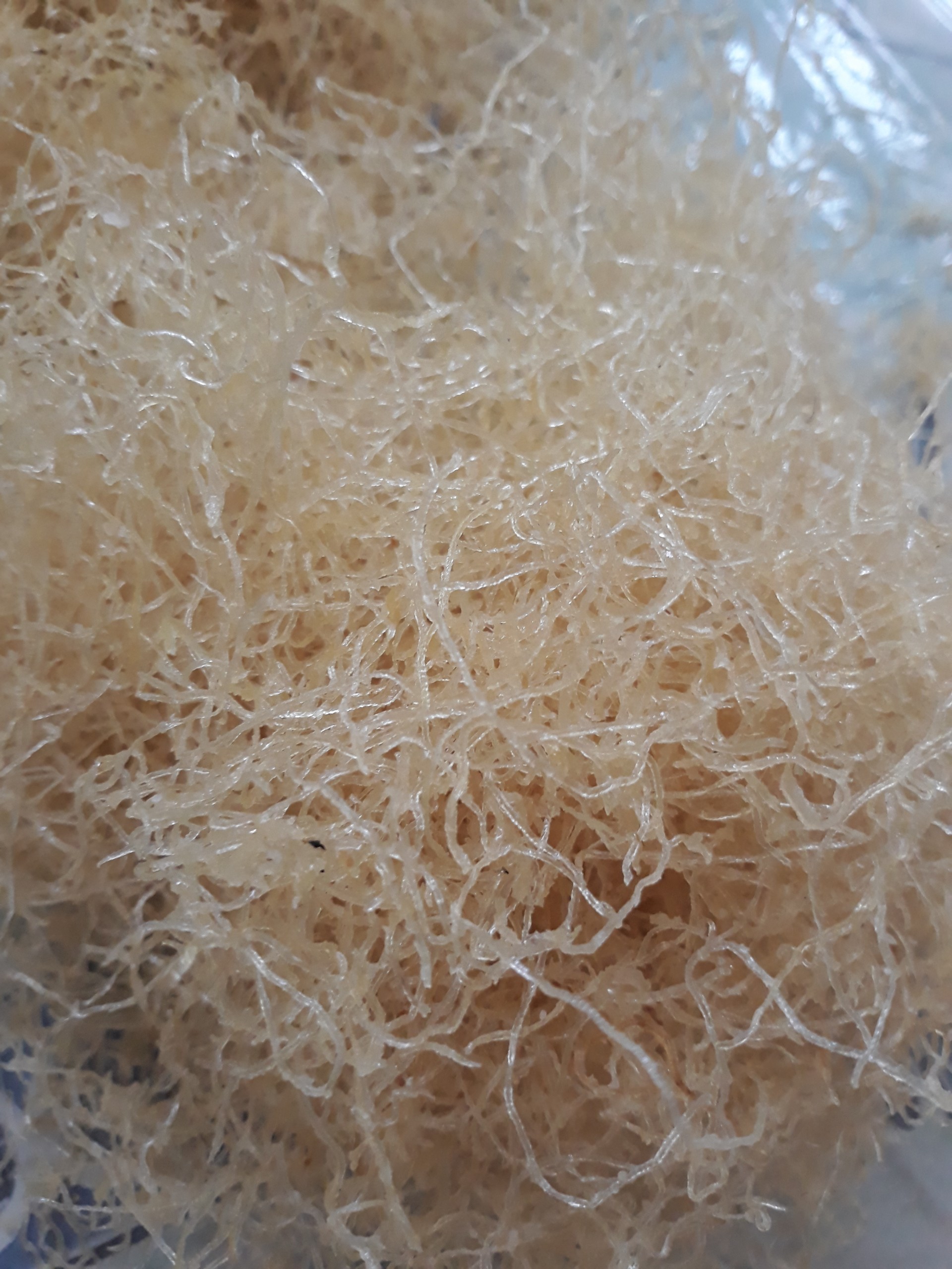 [HCM]BÌ CƠM TẤM SẤY KHÔ 0,5KG