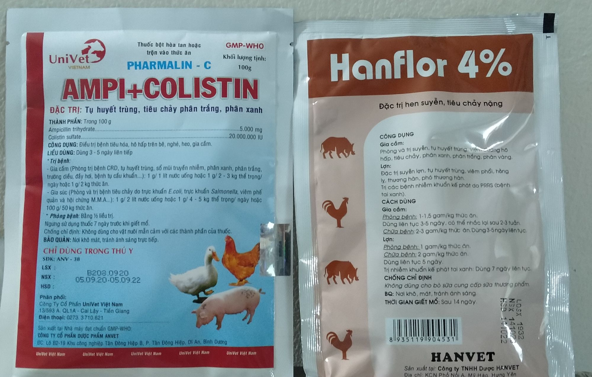 gà tụ huyết trùng, sưng phù đầu họng, tiêu chảy phân trắng xanh ampicoli+hanflor