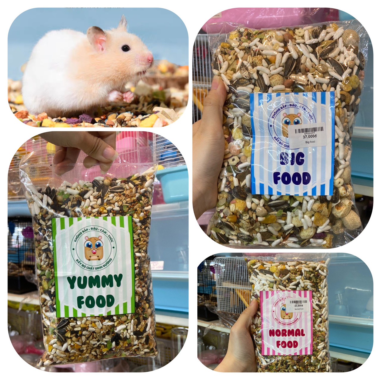 thức ăn ngũ cốc hạt (Normal, Yummy, Big) dành cho mọi loại hamster - T3 PETS SHOP