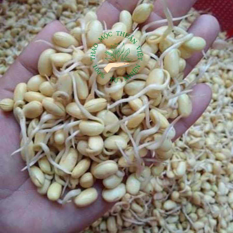 Bột mầm đậu nành nguyên xơ
