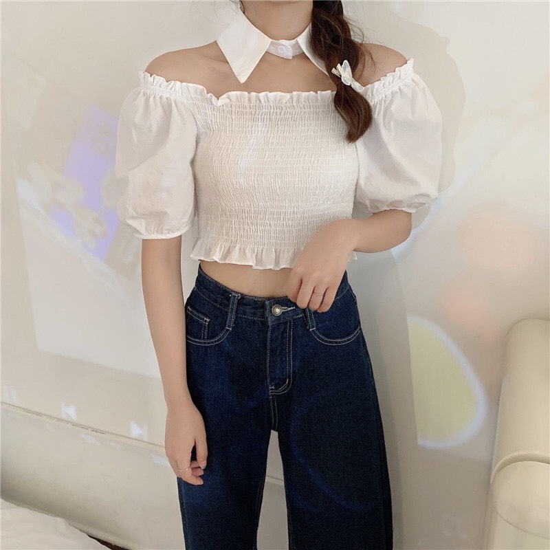 ÁO NHÚN TẶNG KÈ CỔ SƠ MI, PHỤNG HOÀNG
