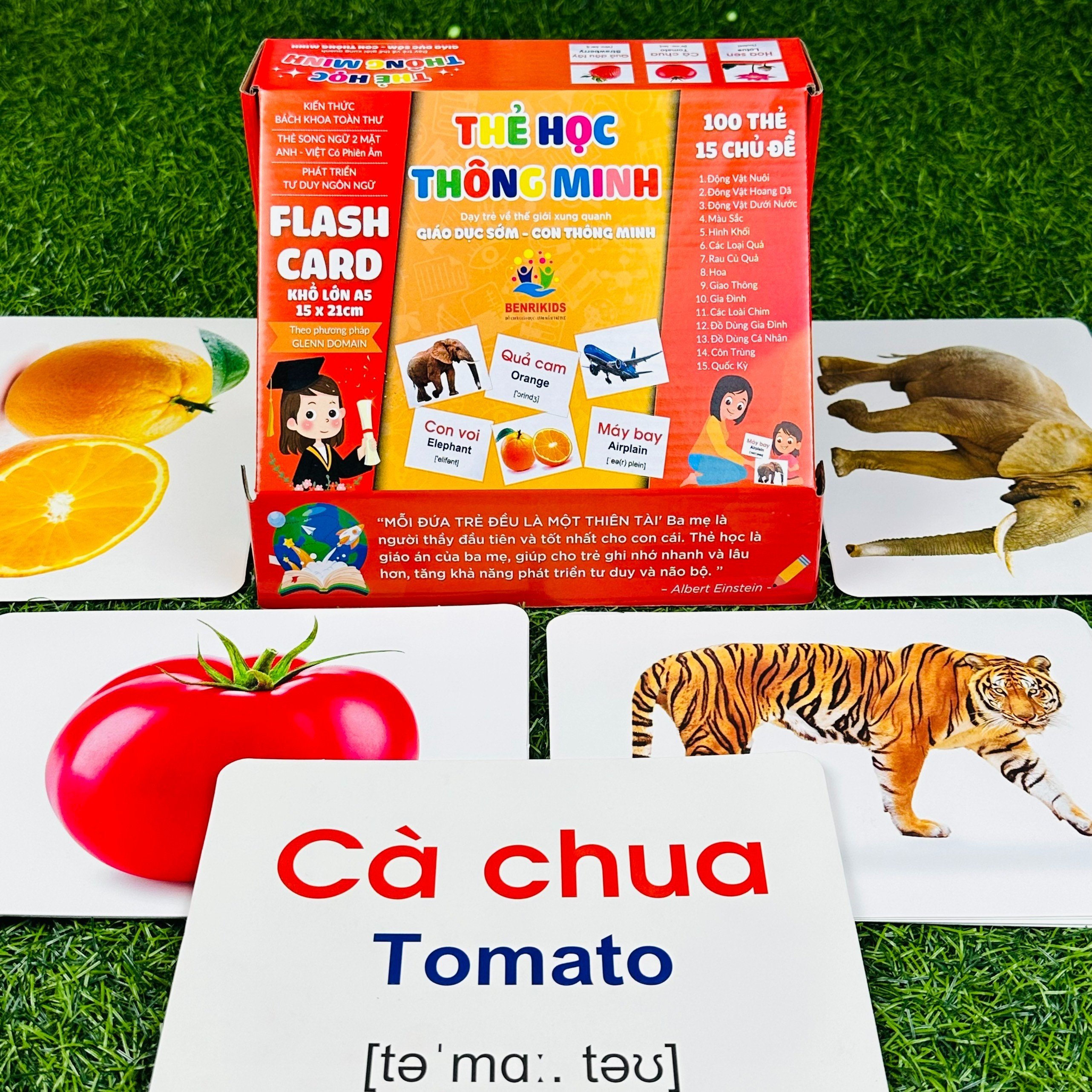 Big A5 card set -H/clear picture, practical baby teaching recognition the tgxq, promote the development of the brain.