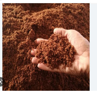 Mụn dừa đã xử lý 10 lít (khoảng 2,5kg) - xơ dừa đã qua xử lý