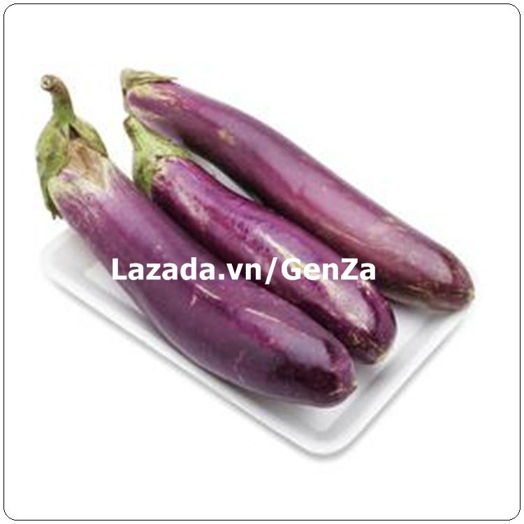 Hạt Giống Cà Tím Đài Loan