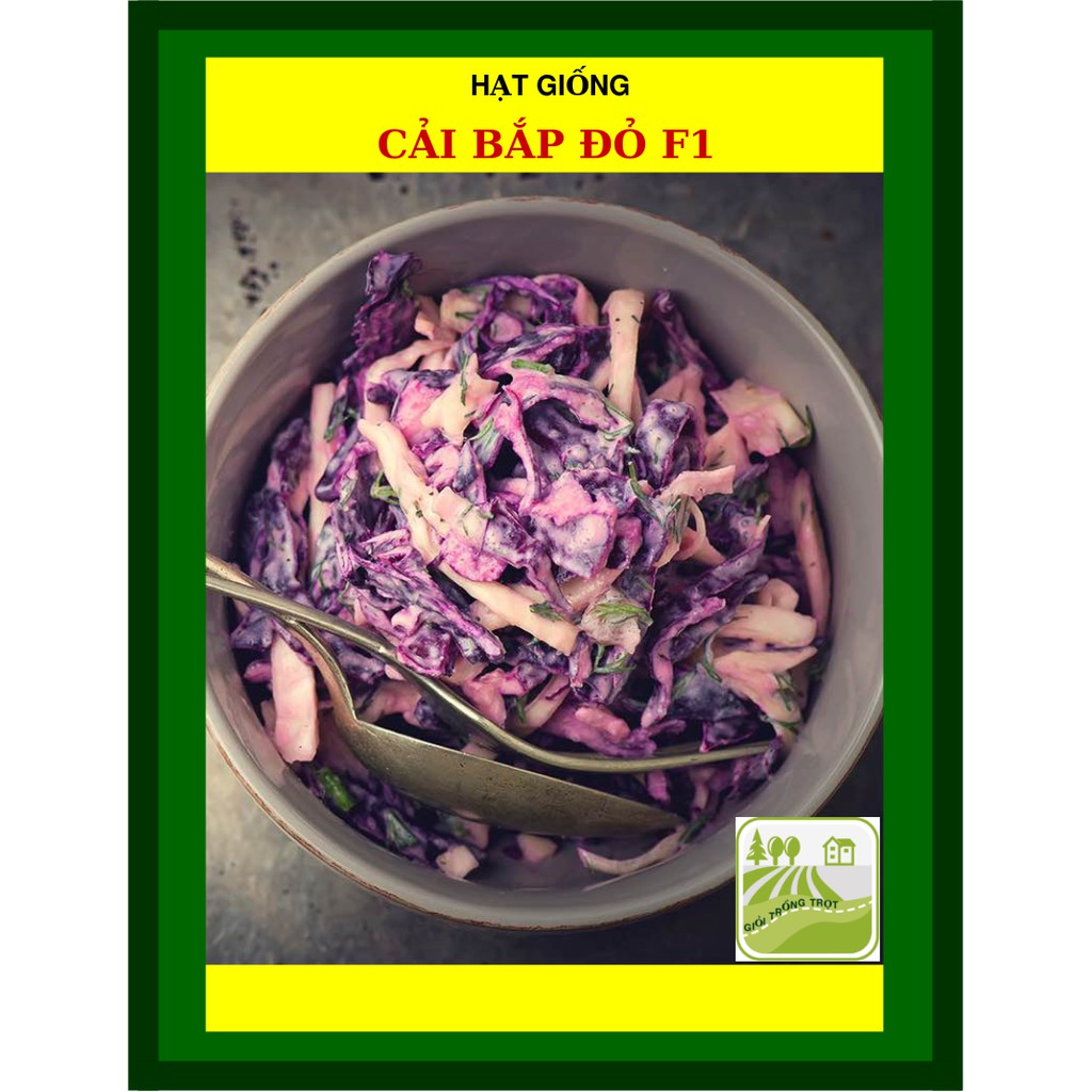 1G - Hạt Giống Cải Bắp Đỏ