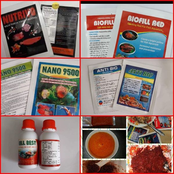 Combo 5 món Bộ trộn thức ăn giúp cá lên Màu, Đầu và Châu - Hàng Công Ty