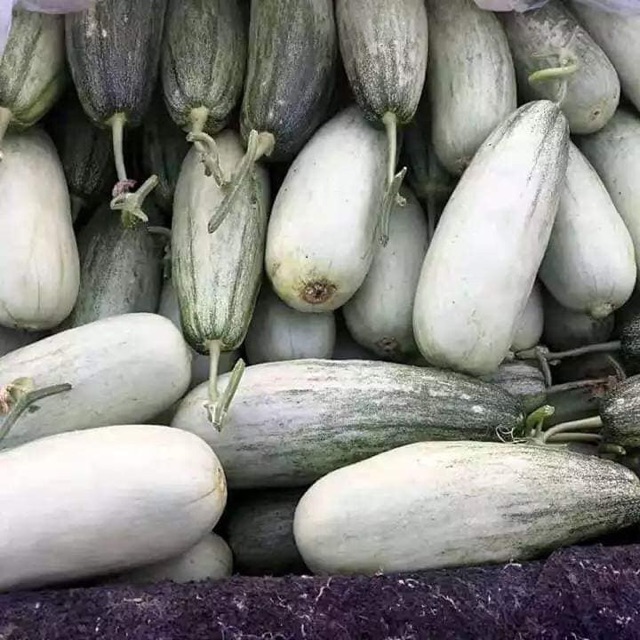 Hạt Giống Dưa Chuối F1