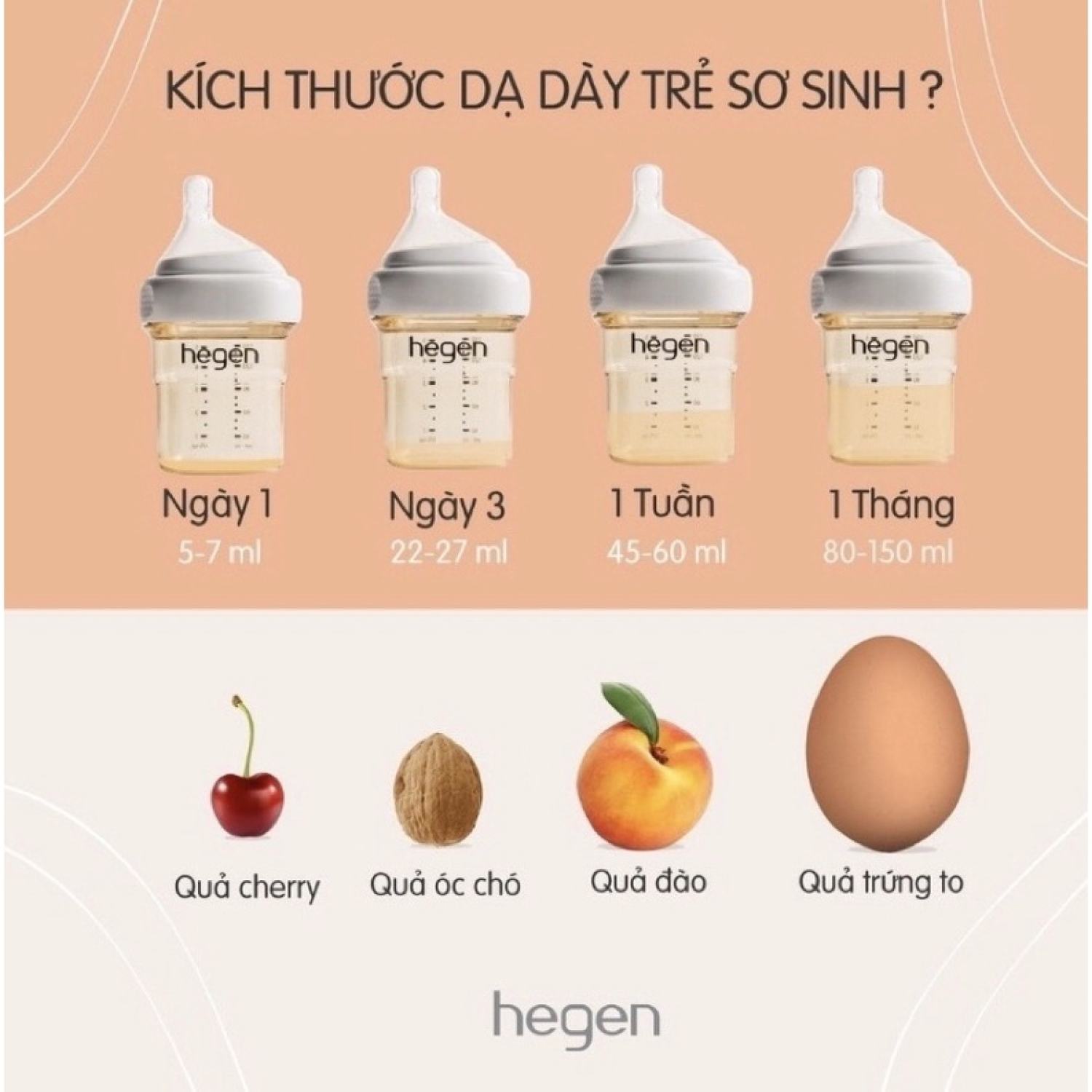 [CHÍNH HÃNG] [Được Chọn Núm] Bình Sữa Hegen CHÍNH HÃNG 150ml, 240ml, 330ml