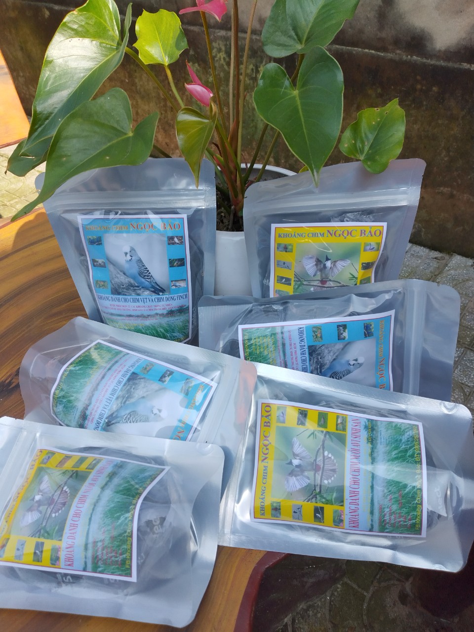 khoáng chim yến phụng