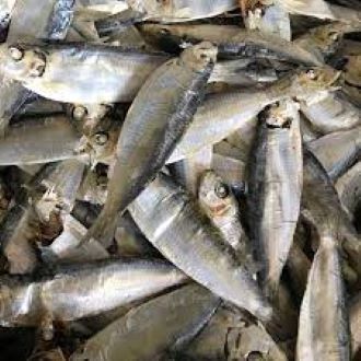 1kg Cá trích khô Đặc sản Phú Yên