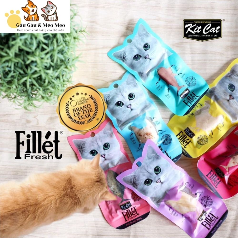 KITCAT FILLET PHI LÊ THỊT CHO MÈO