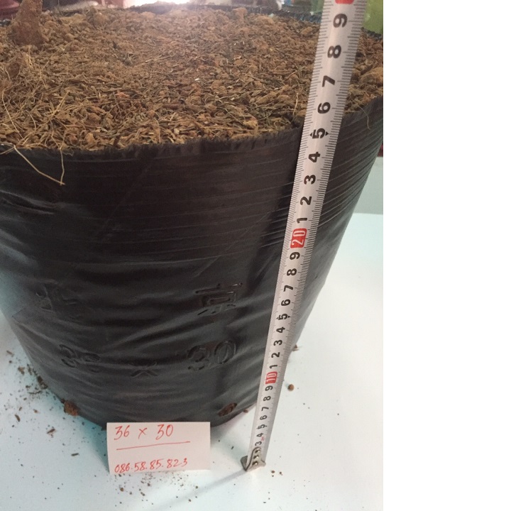 1kg bịch bầu ươm cây cỡ 36x30