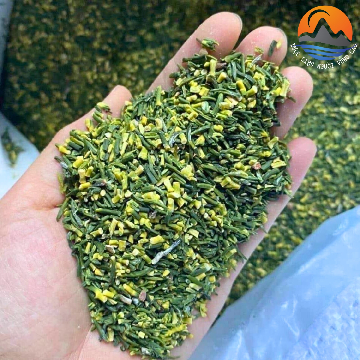 Trà tâm sen, tim sen khô, sấy lạnh thượng hạng hàng đẹp loại 1. Tâm sen, tim sen pha trà giúp dễ ngủ, ngủ ngon