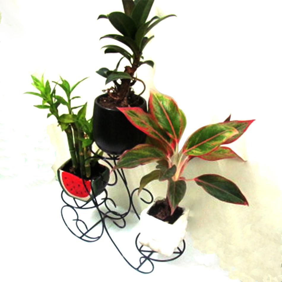 Kệ  giá đỡ chậu hoa mini