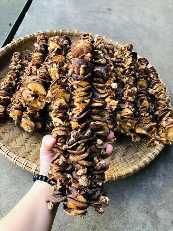 500G NẤM HƯƠNG RỪNG SAPA