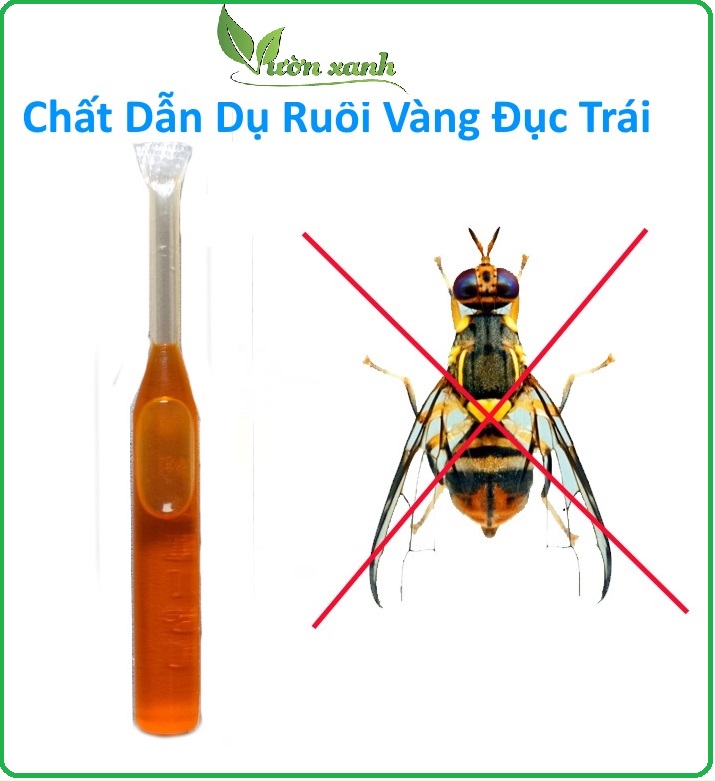 Ống chất dẫn dụ bẫy ruồi vàng đục trái lọ 2ml, tác dụng mạnh với ruồi đục trái