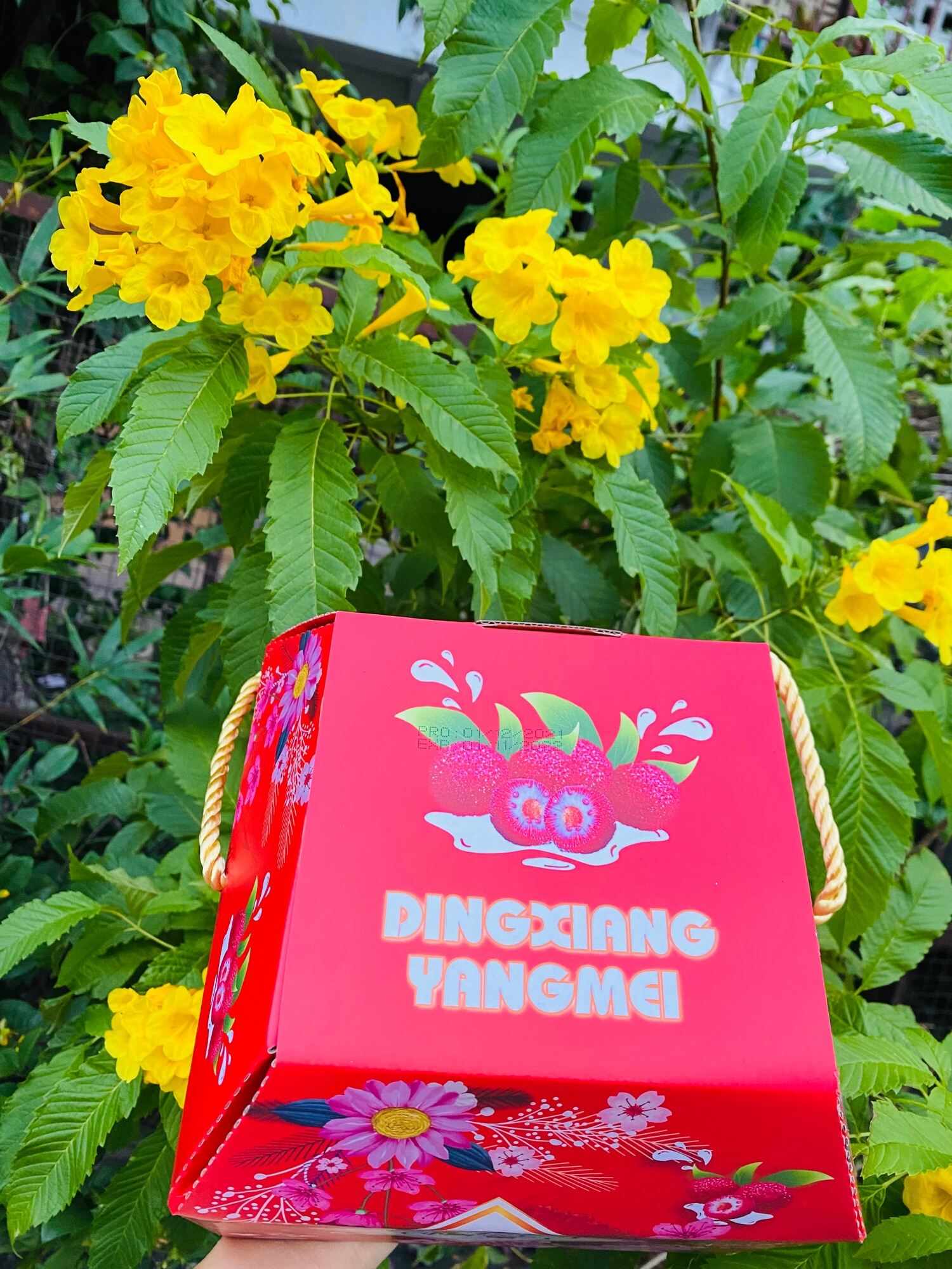 Ô mai thanh mai hộp giấy 600gram