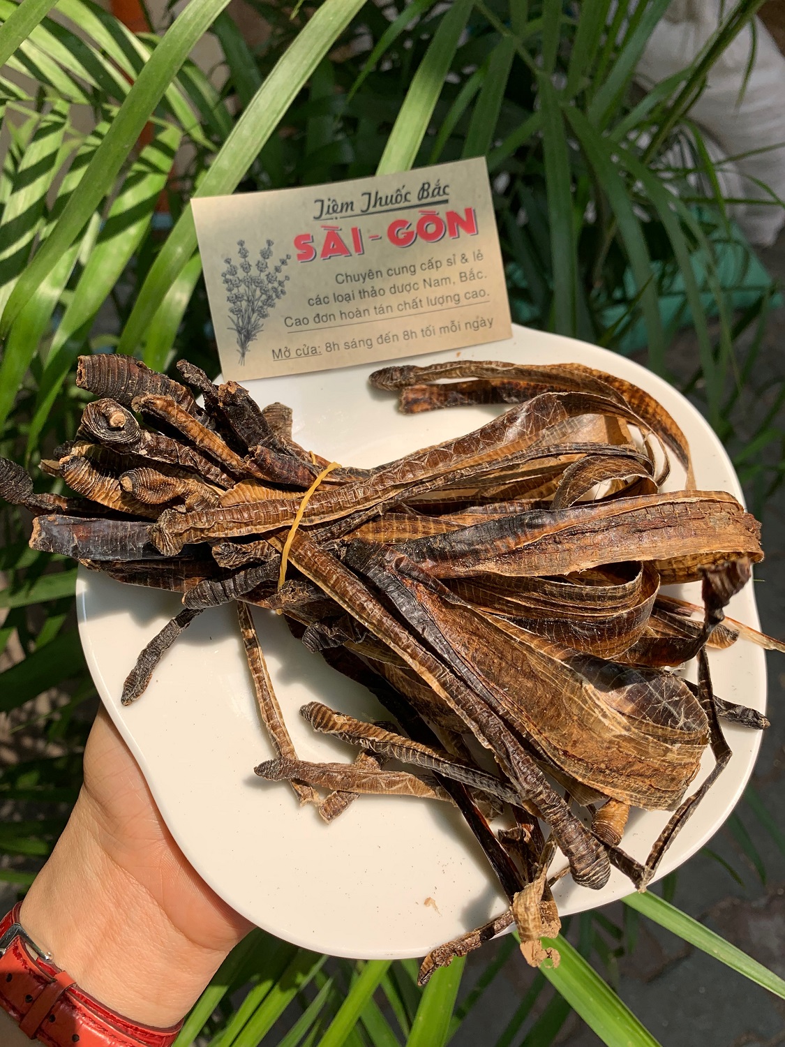 [HCM]Địa Long Khô Sạch Đẹp 100g