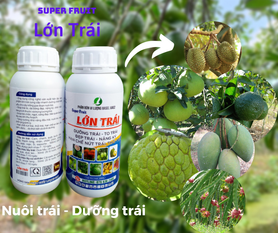 SUPER FRUIT LỚN TRÁI, DƯỠNG TRÁI 500ML