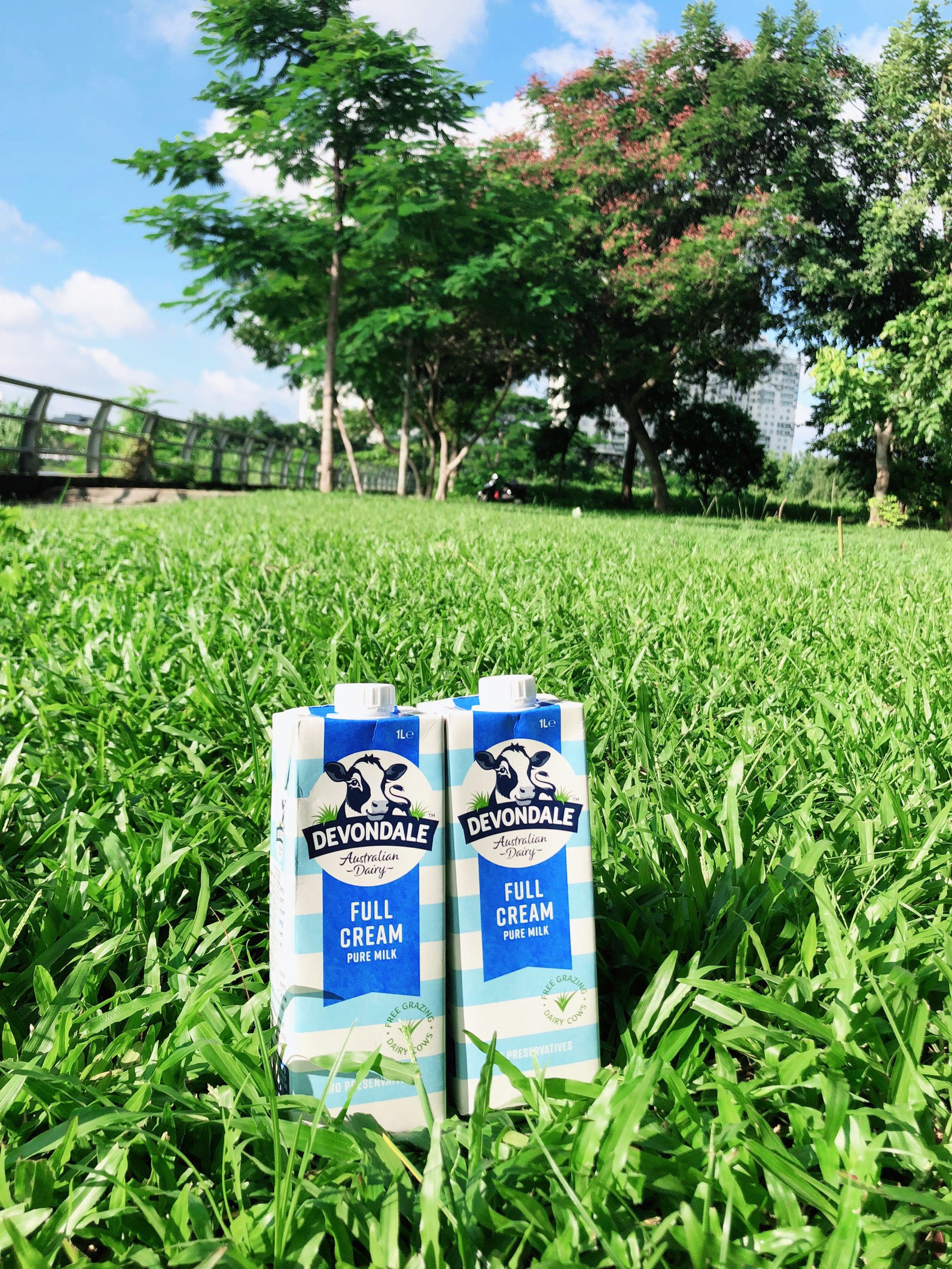 Sữa tươi Devondale/Australia's OWN /Meadow Fresh( thùng 12 hộp loại 1L)