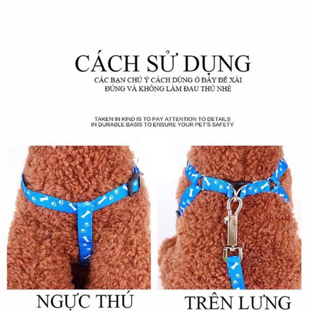 Dây dắt chó mèo đi dạo kèm yếm giá rẻ