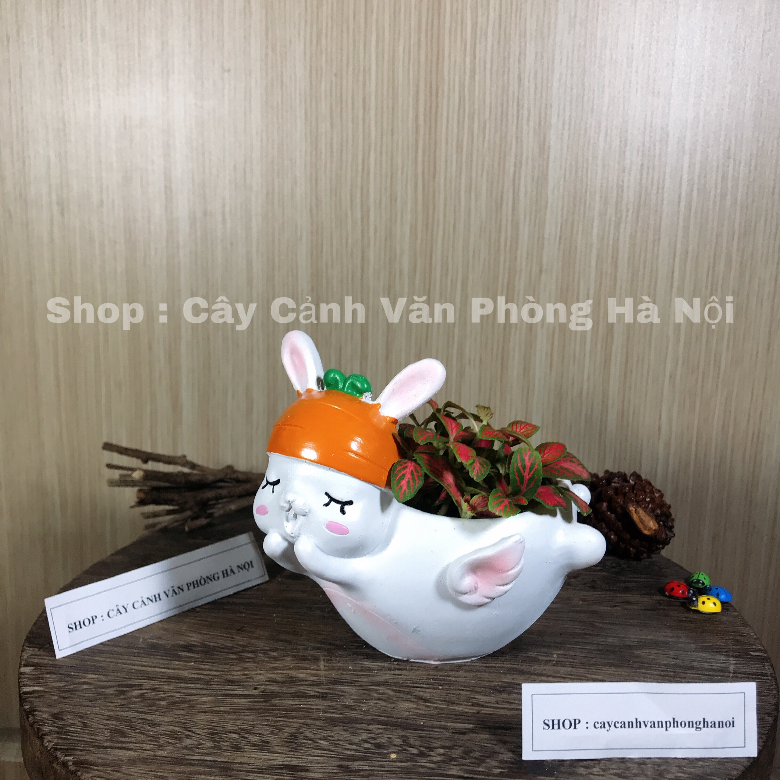 chậu trồng cây hình thỏ trắng có cánh [ tặng kèm đất trồng cây ]
