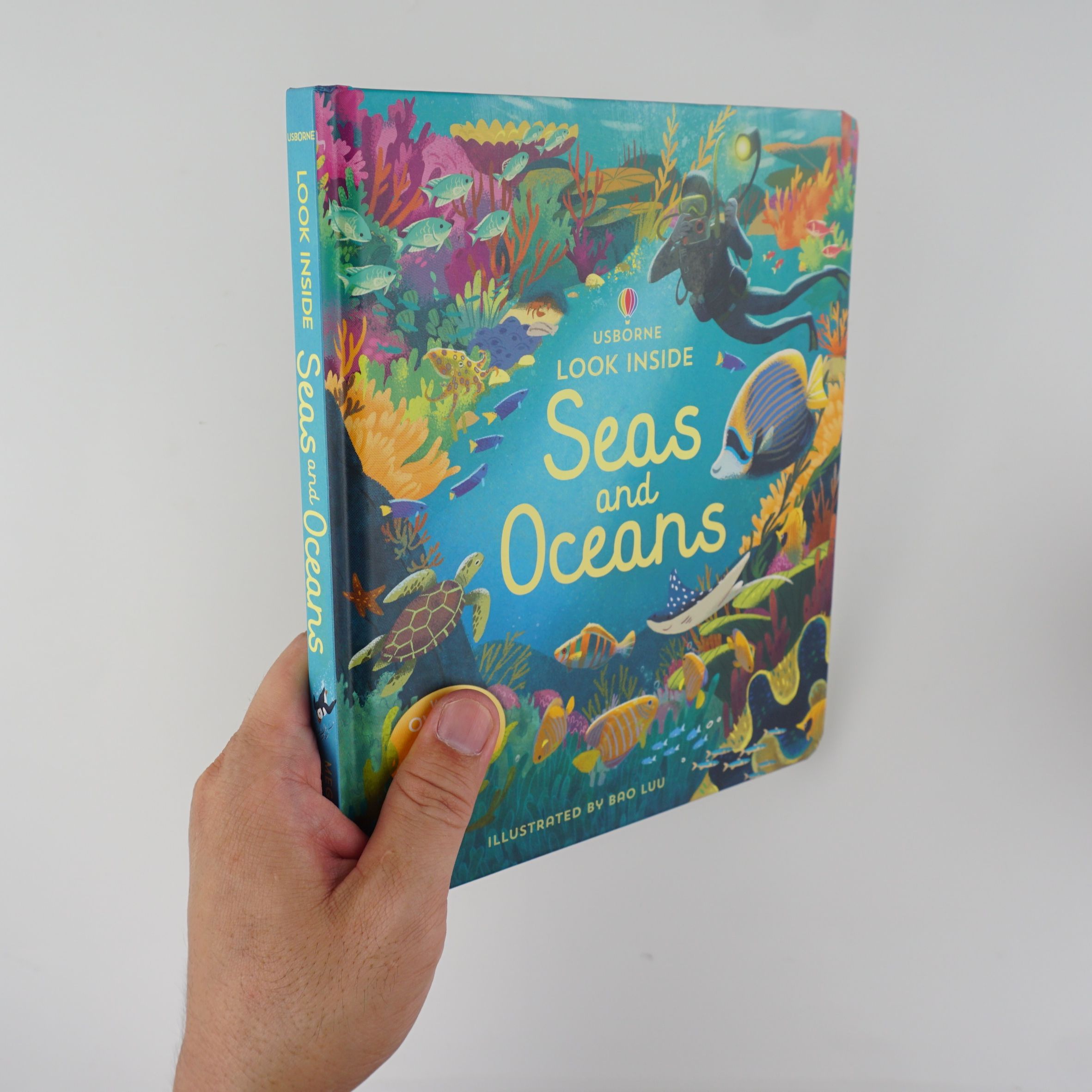 Look Inside Seas and Oceans
