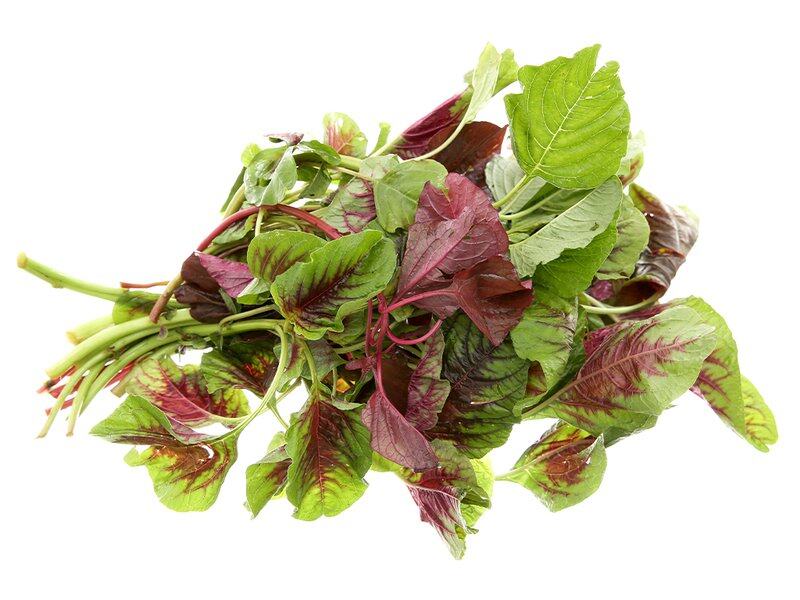 Hạt giống rau dền khoang - dền tía - gói 50gr
