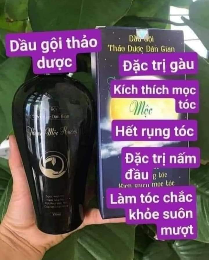 [HCM]Dầu Gội Thanh Mộc Hương
