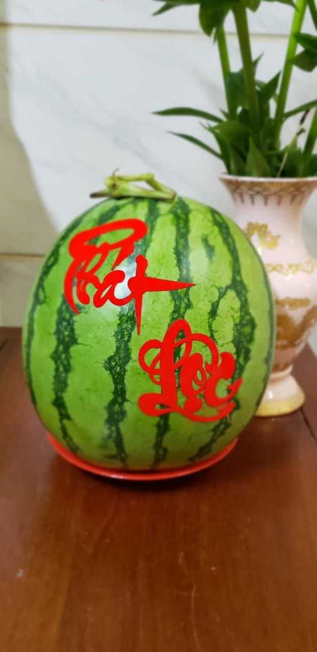 [HCM][HÀNG TẾT] CHỮ TÀI-LỘC-PHÁT-PHÚC DÁN TRÁI CÂY SIZE NHỎ - NK214