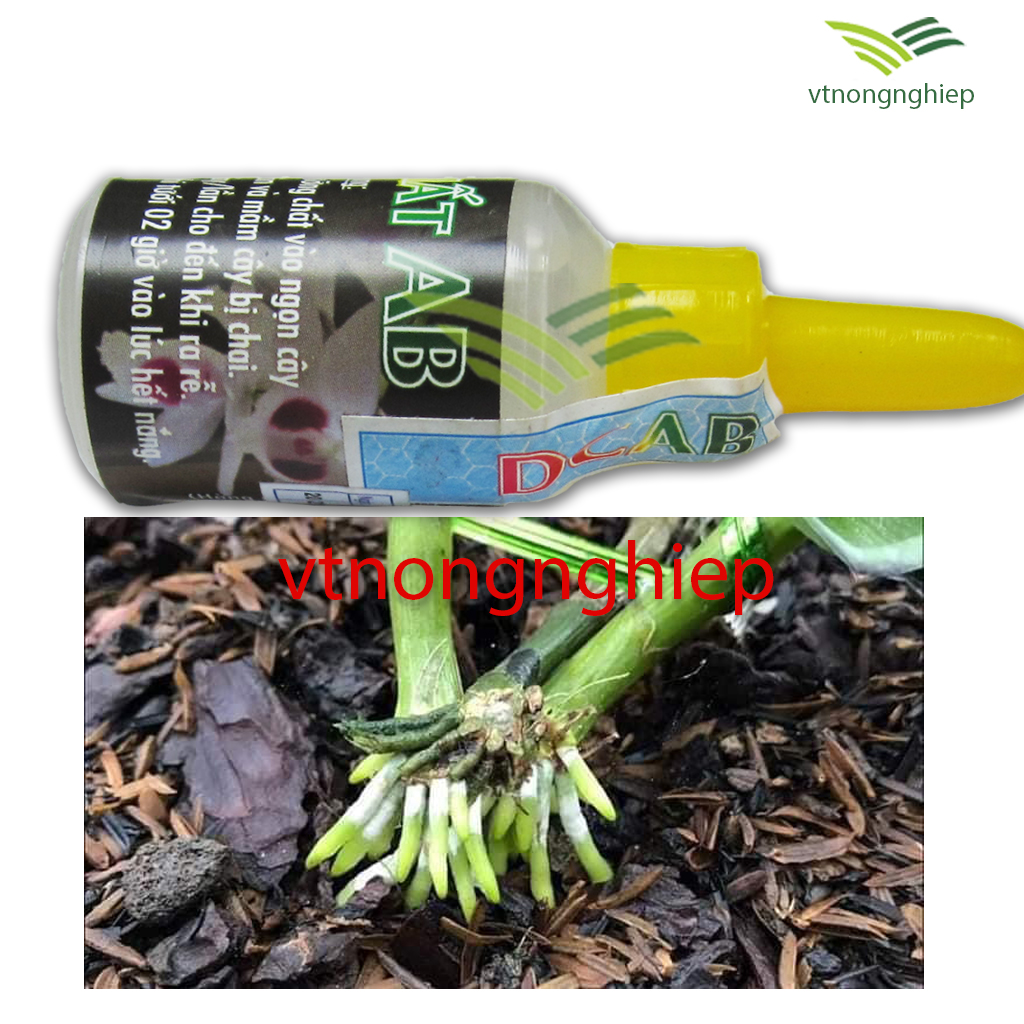 Dưỡng chất AB, dùng cho Hoa Lan, cây cảnh