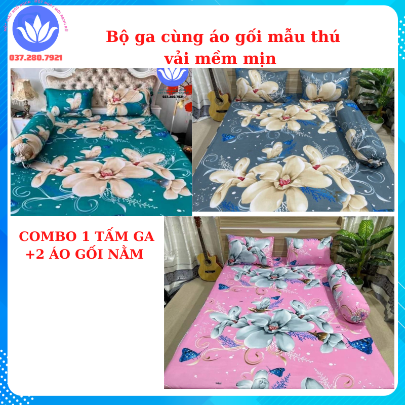 Bộ Ga Thun Hàn Quốc 4 MÓN -MẪU MỚI ( 1 ga bo chun + 2 áo gối nằm +1 áo ôm  )