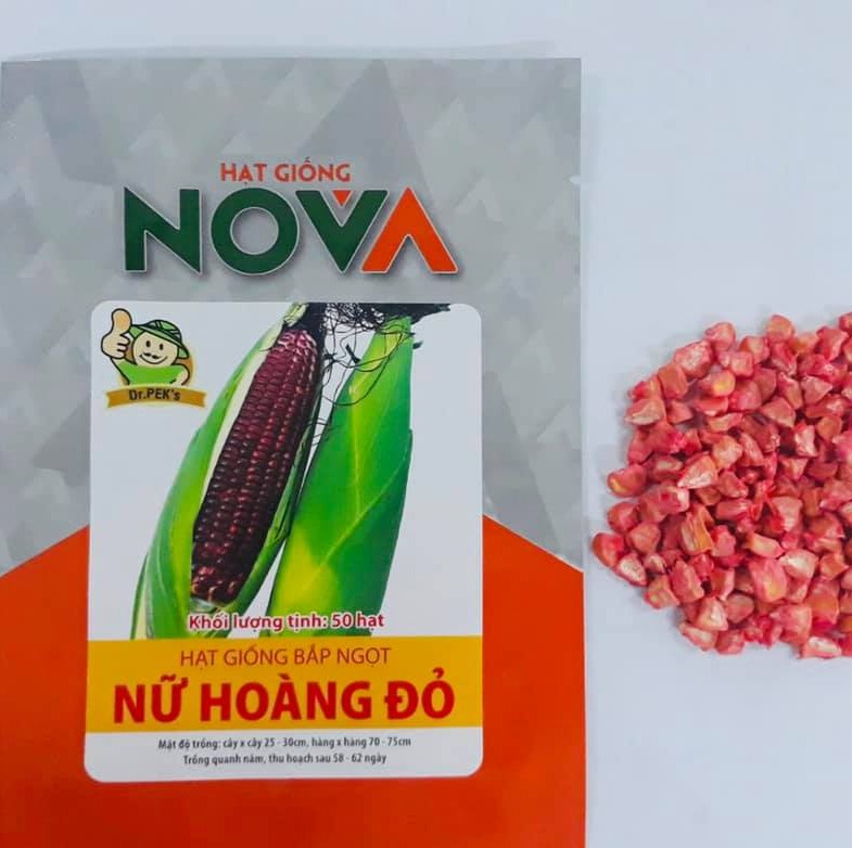 Hạt giống bắp ngọt Nữ Hoàng Đỏ Nova 50 hạt