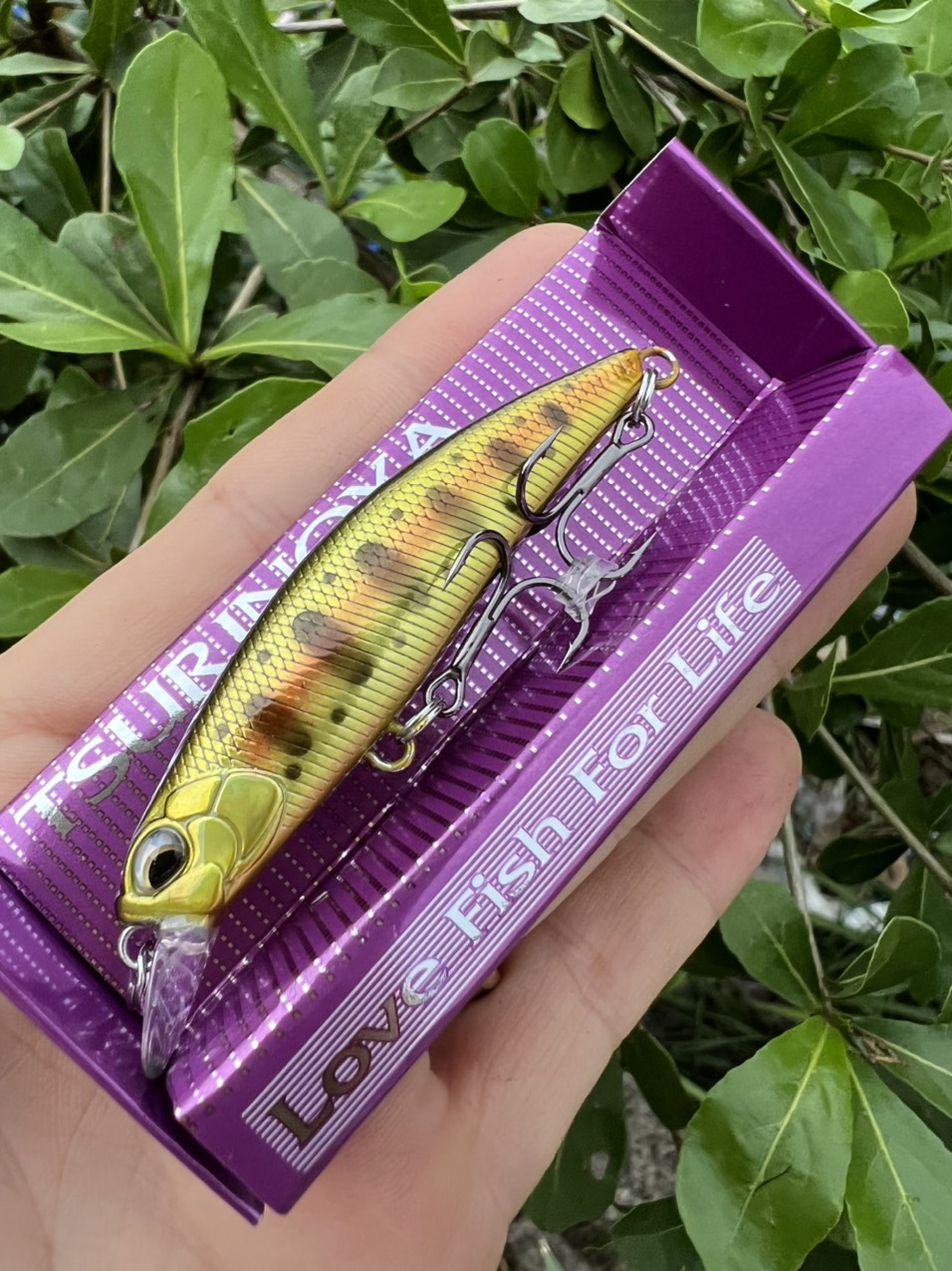 MỒI LURE DW67 CHUYÊN CÂU CÁ CHẼM, MĂNG
