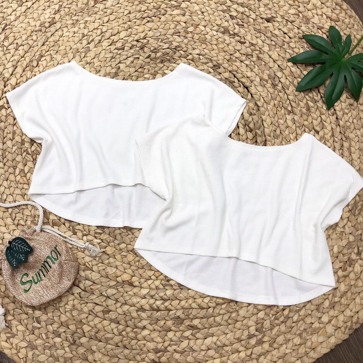 Áo crop nhiều kiểu nhiều màu