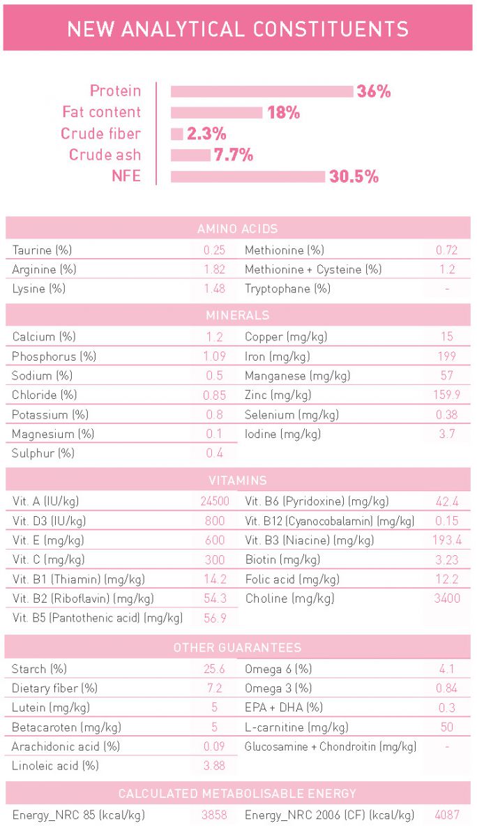 [400g/1kg/2kg/10kg] Hạt Cho Mèo Con (Kitten) Royal Canin Kitten