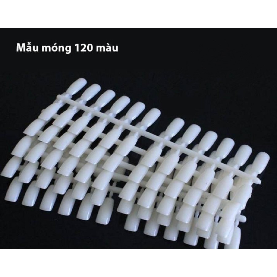 Móng gắn bảng màu mẫu 120 móng